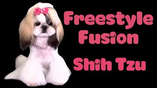 Freestyle Fusion SHIH TZU Haircut [upl. by Aivatnuhs]