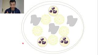 28Actinomyces israelii [upl. by Alimat]