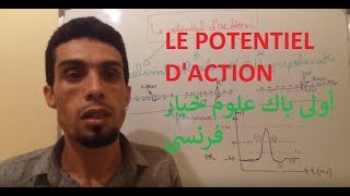 La communication nerveuse Potentiel daction التواصل العصبي جهد العملأولى باك علوم خيار فرنسي [upl. by Aerbua]