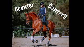 The Counter Canter [upl. by Kowal]