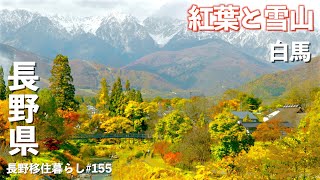 【長野移住】絶景スポットに北アルプスの紅葉と雪山を見に行ってみた｜聖高原｜白馬｜ドライブ｜田舎暮らし｜長野県｜4K [upl. by Sandro]