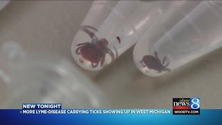 Diseasecarrying ticks more common in W MI [upl. by Rock858]