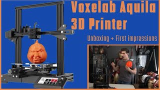 Voxelab Aquila 3D Printer  Quick Review  The Ender3 Killer [upl. by Sardse]