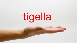 How to Pronounce tigella  American English [upl. by Marquita]