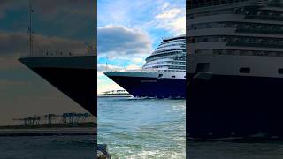 MS Rotterdam 🛳️⚓️like share comment subscribe cruiseship cruise vacation shorts short wow [upl. by Astri]