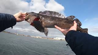 Fishing Vancouver Island Victoria Breakwater [upl. by Hanonew]