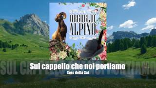 Coro della Sat  Sul cappello che noi portiamo ORGOGLIO ALPINO [upl. by Saeger]