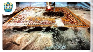 carpet cleaning videos  cleaning rugs satisfying compilation 01 [upl. by Flanigan86]