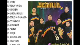 Grupo semilla  Disco  Lagrimas de dolor [upl. by Kerred]