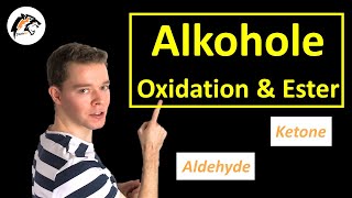 Reaktionen der Alkohole Oxidation amp Esterbildung  Chemie Tutorial [upl. by Bahr960]