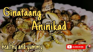 How to cook ginataang aninikadplicate conchlutoniLaviel09healthy and nutritious seashell [upl. by Avot]