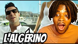 FIRST TIME REACTING TO LAlgérino  BRAVOOOO FRENCH RAP [upl. by Dombrowski]