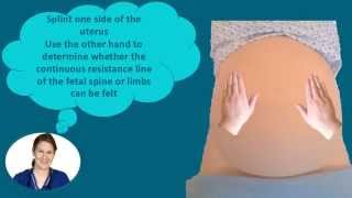 Abdominal Palpation Tutorial for Student Midwives [upl. by Namielus]