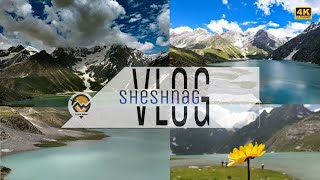 Sheshnag Lake  Amarnath Yatra  A beautiful day at Sheshnag lake  Pahalgam kashmir  Travel sphere [upl. by Tullus]