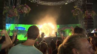 Cari Lekebusch 2 at Tomorrowland 2012 [upl. by Eisej]