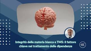 Integrità della materia bianca e TMS il fattore chiave nel trattamento delle dipendenze [upl. by Yeleen]