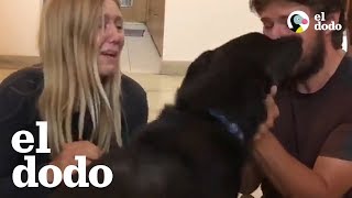 Pareja se reúne con su perro que había sido secuestrado [upl. by Pearce]