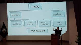 La función de distinguir el daño del perjuicio  Francisco Carreón Romero [upl. by Eneleahs]