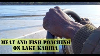 Meat and Fish Poaching on Lake Kariba [upl. by Nelehyram]