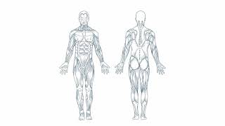 Body Composition Explained What is BIA Bioimpedance Analysis amp how it helps measure your health [upl. by Anaya]