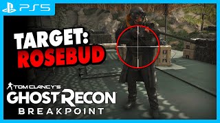 Ghost Recon Breakpoint  Snipestream  BossJagd auf ROSEBUD [upl. by Isyed991]