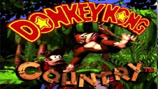 Forest Frenzy  Donkey Kong Country [upl. by Mikkel]