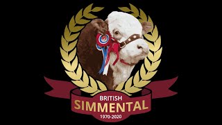 Scottish National Simmental Show at Turriff on Monday 5th August 2024 [upl. by Nohsram]