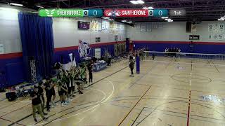 RSEQ D1 Volleyball Masculin 🏐 Or SaintJérôme v Sherbrooke 20230226 [upl. by Gaiser]