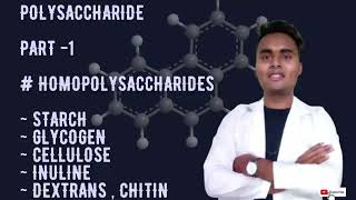 POLYSACCHARIDES PART 1  HOMOPOLYSACCHARIDE  STARCH GLYCOGEN CELLULOSE INULINDEXTRIN CHITIN [upl. by Vincentia]