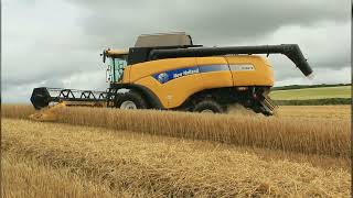 New Holland Cx 8070 Combine Harvesting [upl. by Em685]