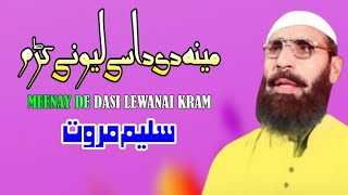 Meeny Dy Dasy Lewany KramSaleem Marwat Pashto New SongPashto New Song 2024سلیم مروت پشتو سونگ [upl. by Cara]