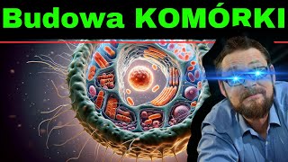 Komórka Najprościej o budowie komórki zwierzęcej Mitochondrium błona komórkowa wakuola jądro [upl. by Gonyea]