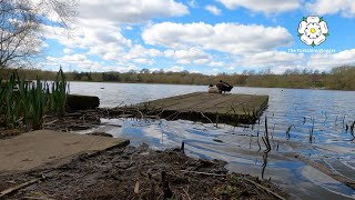 Elsecar Reservoir Walk in full 4K Video Ultra HD [upl. by Enaid]