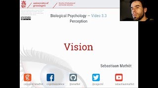 Vision  Biological Psychology 33 [upl. by Auohc774]