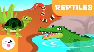 Les reptiles pour enfants  Les animaux vertébrés  Les sciences naturelles pour enfants [upl. by Noiz]