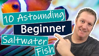 How to set up a Saltwater Reef Aquarium for beginners 2021 [upl. by Eppesiug]