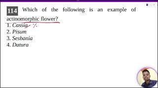 Which of the following is an example of actinomorphic flower1 Cassia2 Pisum3 Sesbania4 Datura [upl. by Currey]