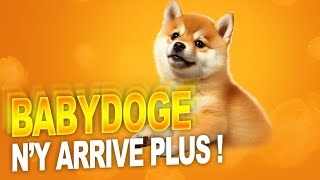 Crypto Baby Doge Coin ny arrive plus  LIVE [upl. by Ulani]