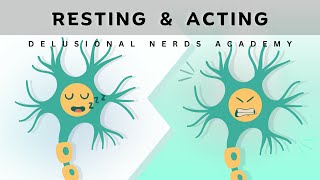 Resting vs Action Potential Simplified Explanation [upl. by Eentrok]