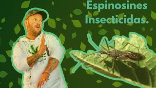 ¡Como Actuan los Insecticidas Espinosines [upl. by Notecnirp807]