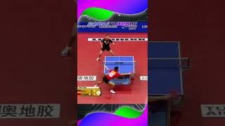 Best Points table tennis zhangjike 탁구 卓球 乒乓球 pingpong sports tabletennis shorts [upl. by Adamec120]