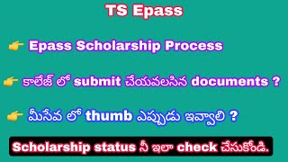 TS Epass 2023  Epass scholarship process  How to check application status  CPGET  Renewal proces [upl. by Aminta]