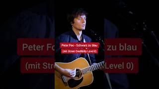 Peter Fox  Schwarz zu blau Parodie [upl. by Elamef]