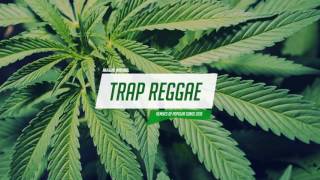 Best Trap Reggae Mix 2016 💊 Trap Bass Reggae Music 💊 [upl. by Celinka]