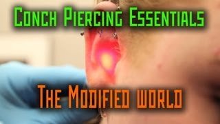 Conch Piercing Essentials THE MODIFIED WORLD [upl. by Norina]