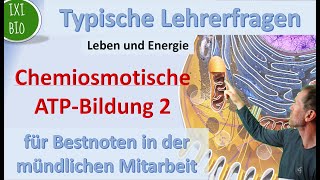 Chemiosmotische ATP Bildung 2  Zellatmung  Lehrerfragen und Schülerantworten [upl. by Caswell946]