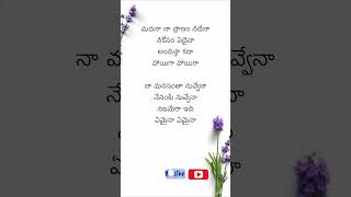 Madana Na Pranam NuvvenaLyrical  MM Manasi Telugu version of ‘Sajna Say Yes To The Dress’ [upl. by Ylrbmik]