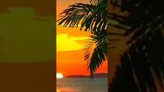 Relaxing music with natural breeze sound relaxingmusic relax calmmusic breeze short [upl. by Thornie]