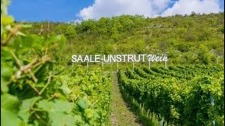 Saale Weinmeile 🍷2022 [upl. by Free527]