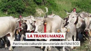 La Transumanza in Calabria [upl. by Aiasi]